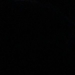 Meet your Posher, Latricia